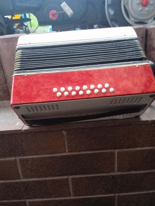 Akordeon guzikowy dla dziecka