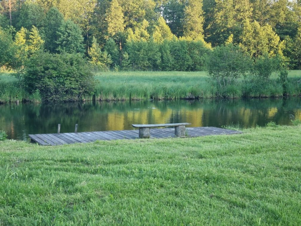 Domek w sercu Puszczy nad Kanałem Augustowskim - Mikaszówka