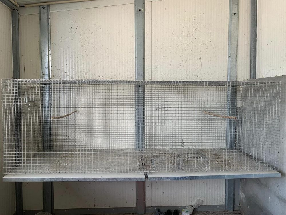 2 Gaiolas para Ring Neck