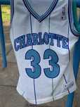 Vintage NBA champion, Charlotte #33 jersey