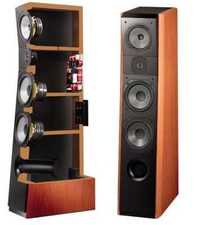 JmLab-Focal Electra 926 classic gold