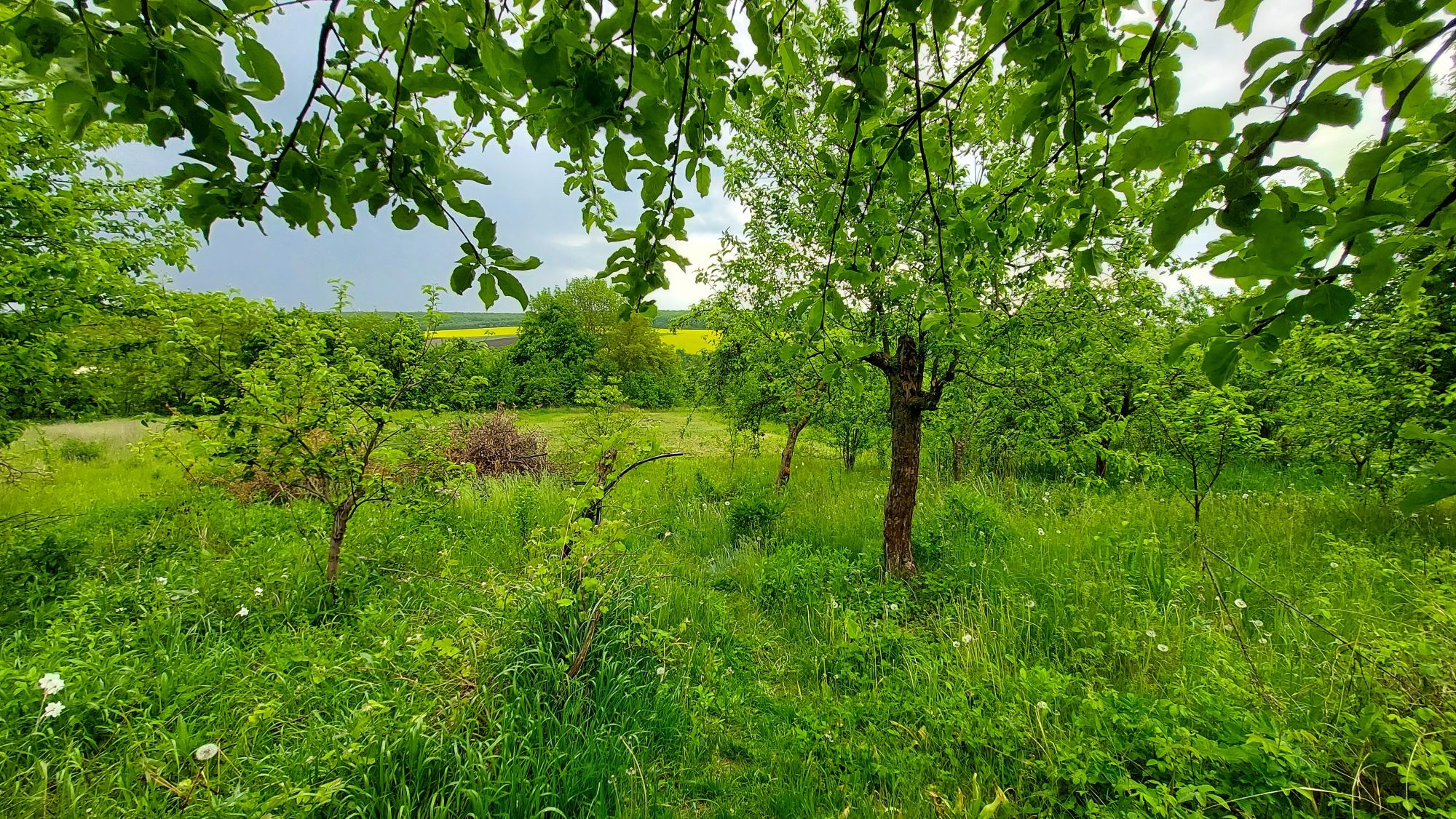 Продам будинок с.Маків