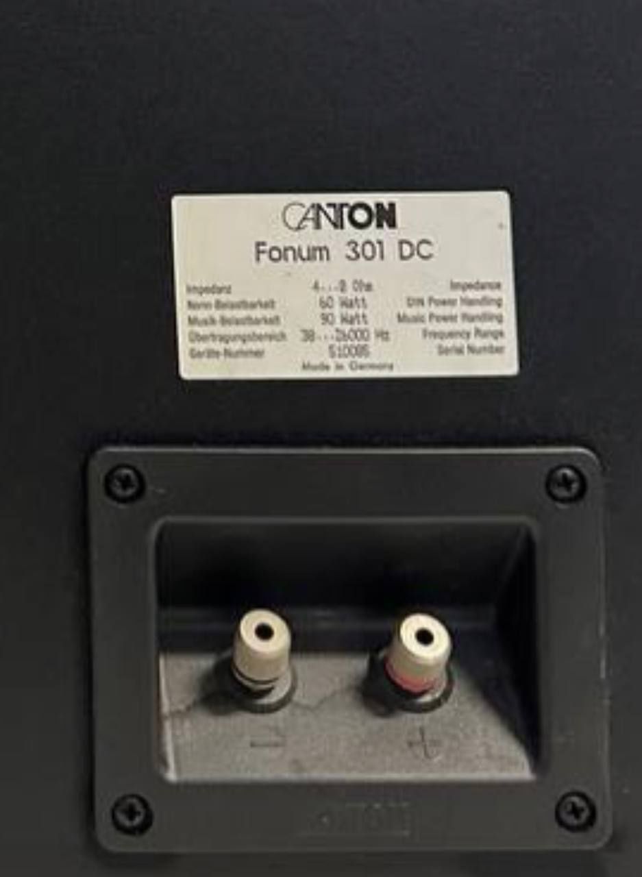 90 Watt! Kolumny Canton Fonum 301