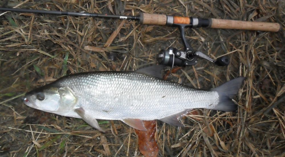 Mikro, micro jigi   zestaw 10 szt