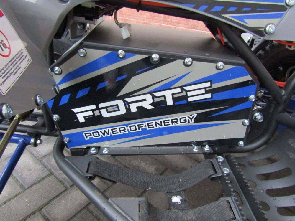 електроквадроцикл FORTE 1500W