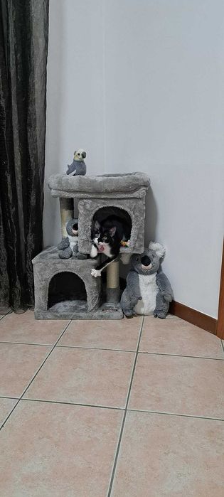 Kompaktowy drapak budka domek wygodny z legowiskiem 67 cm