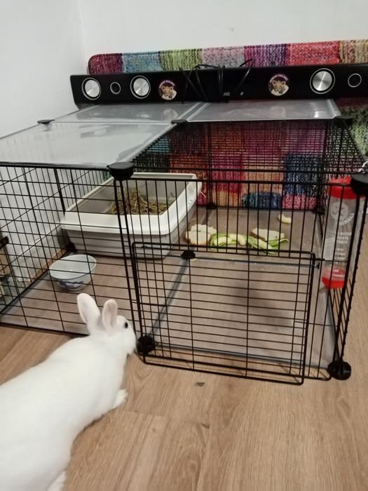 Woliera lub klatka dla krulik szynszyli itp