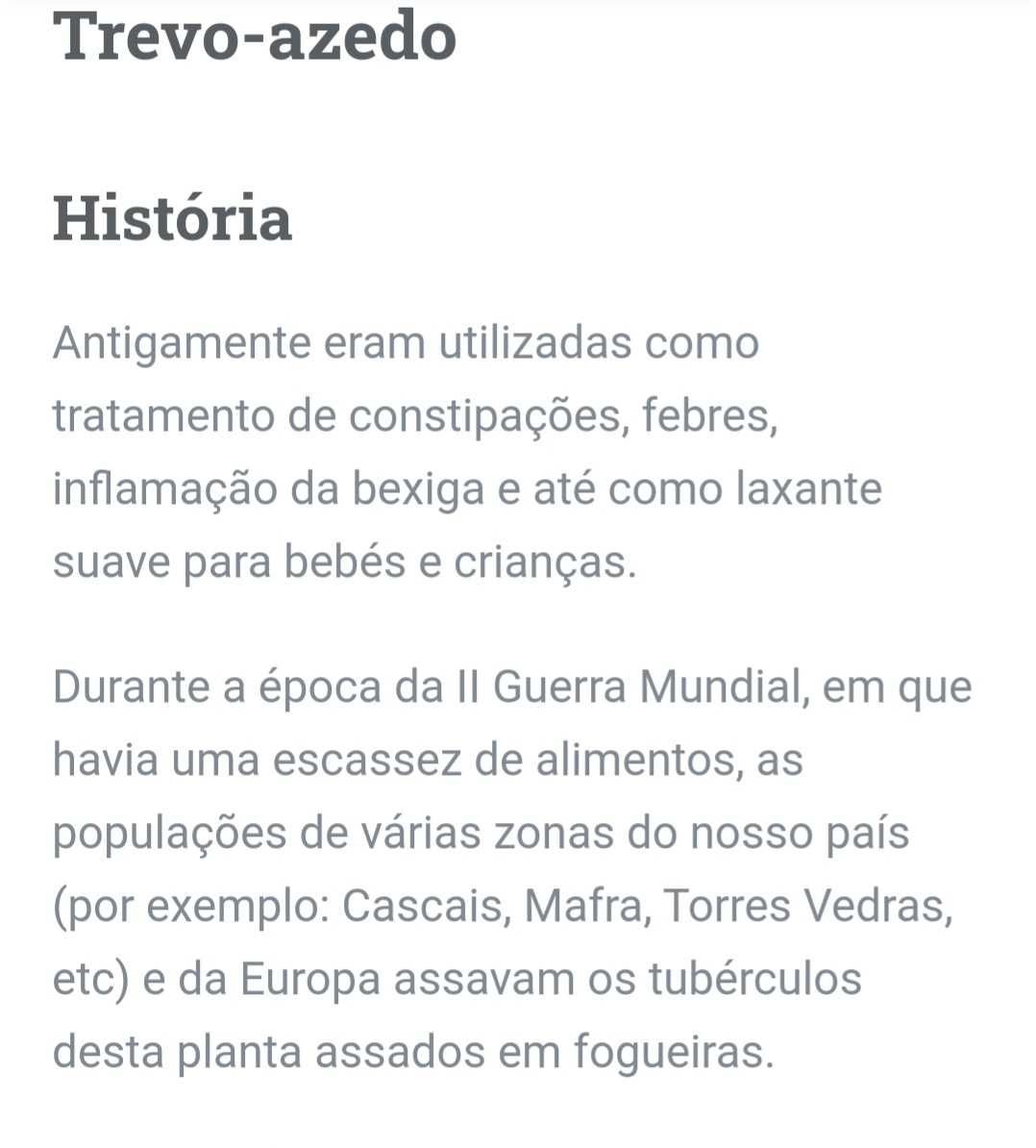 Mudas de Trevo Azedo