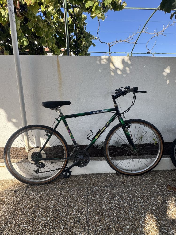 Bicicleta adulto