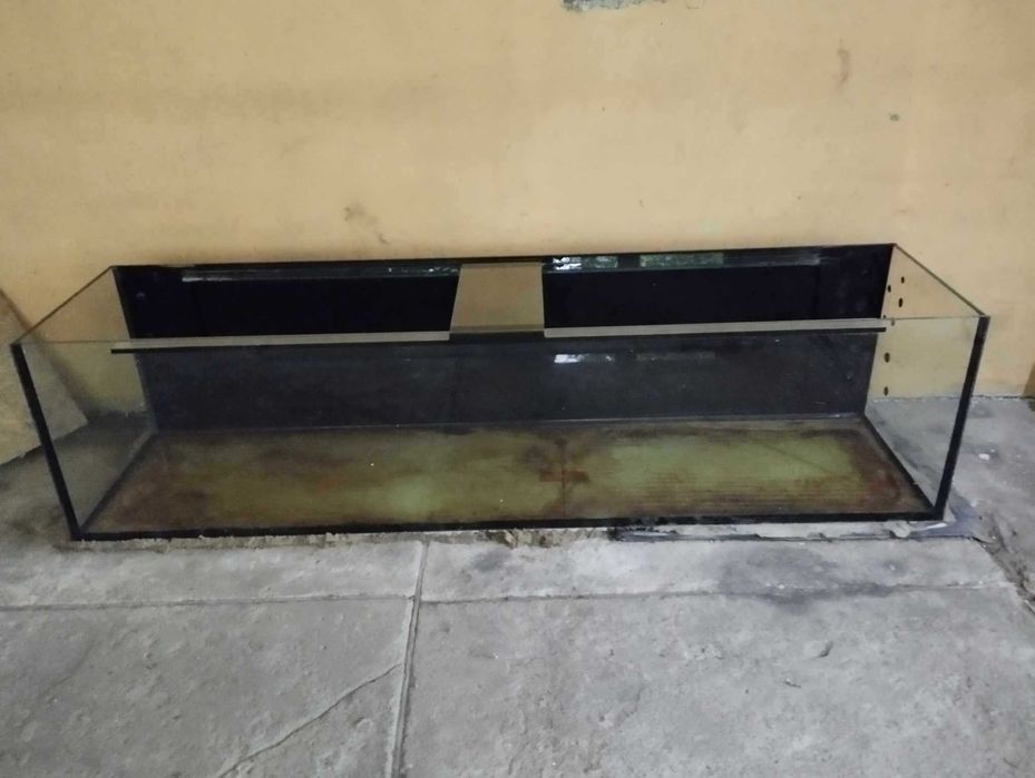 Akwarium duże 2mx50cmx50cm