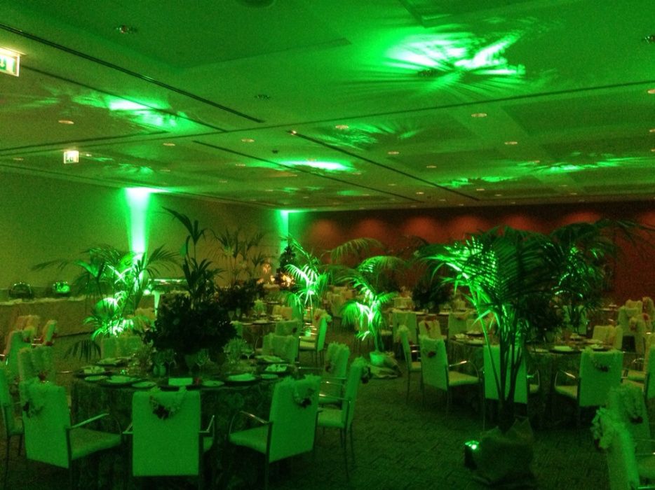 Consultoria, Aluguer e Serviços Técnicos Som e Luz Profissional