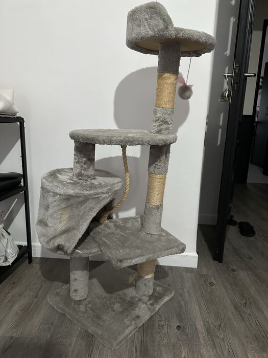 Arranhador Gatos