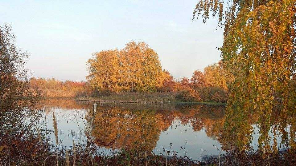 Działka siedliskowa Lewiczyn