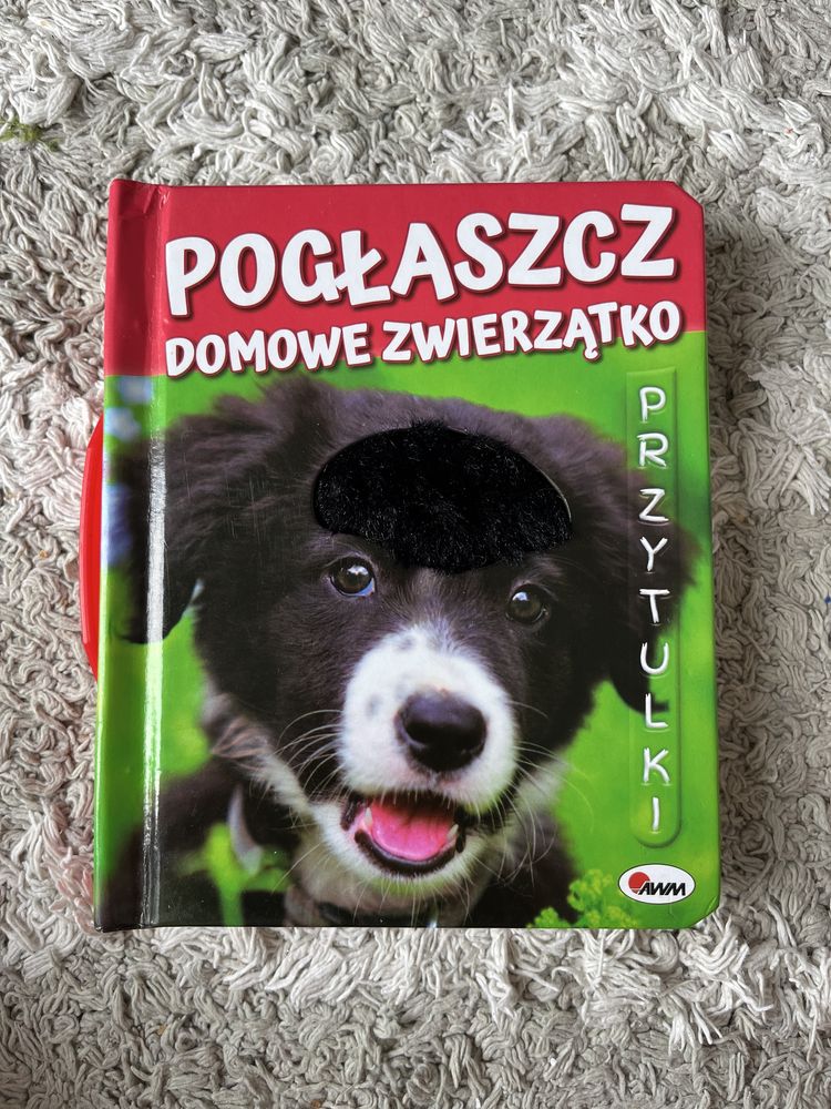 Pogłaszcz domowe zwierzątko