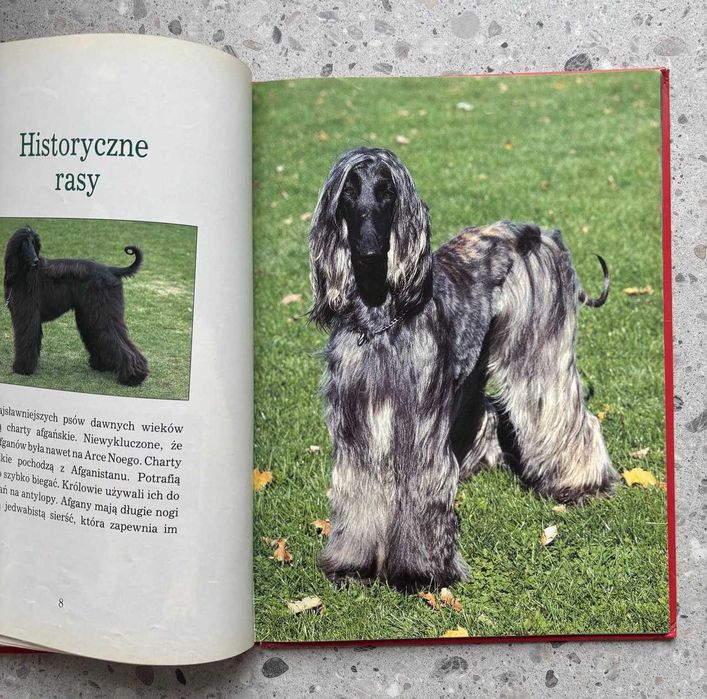 Psy Dziecięca Biblioteka Przyrody Album ilustrowany