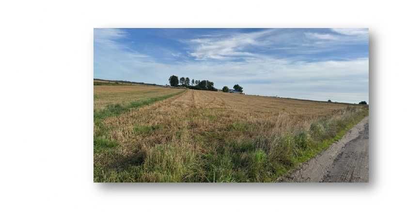 Syndyk sprzeda udziały w nieruchomości  w Strzelnie - 30% ceny