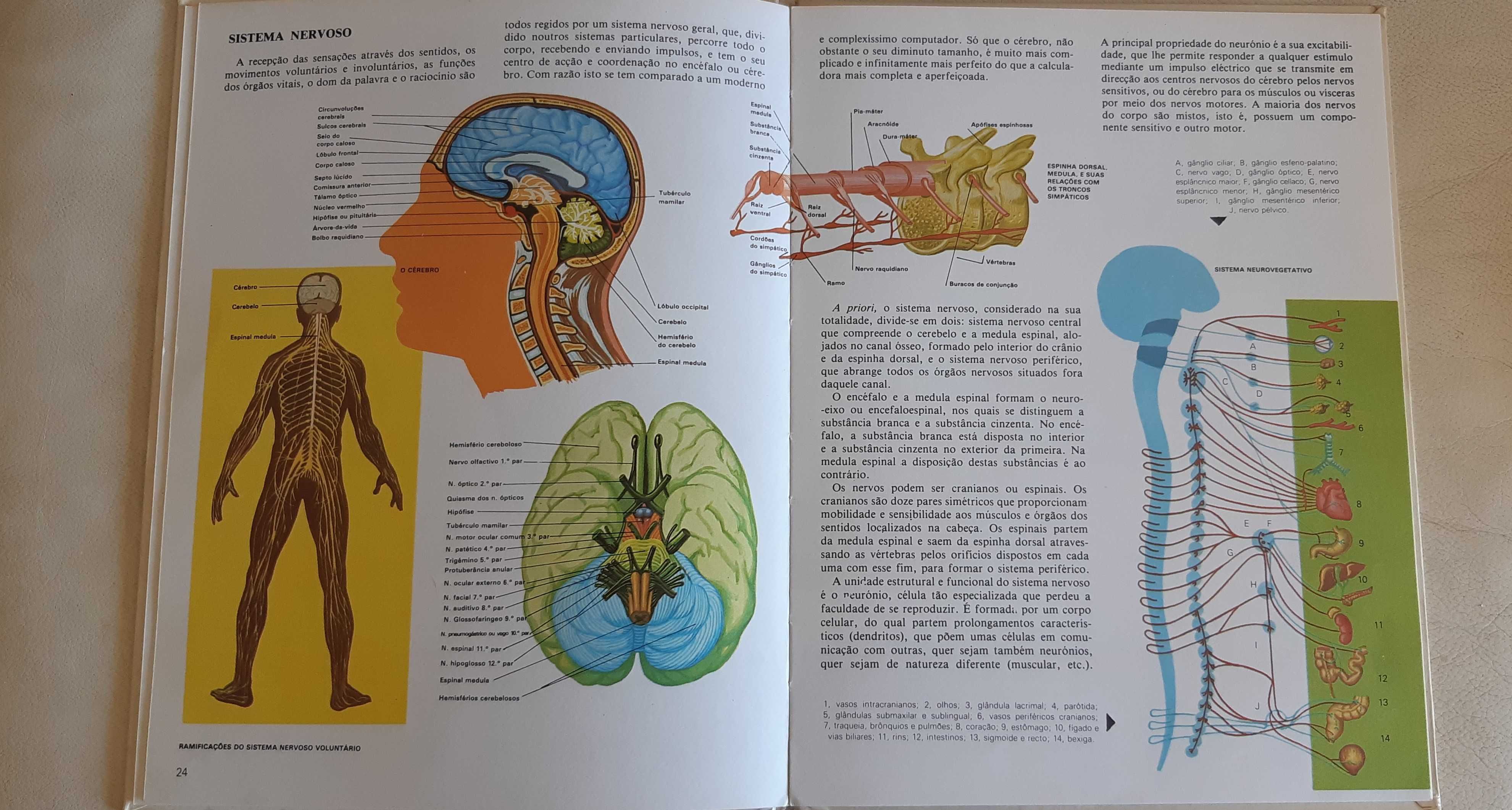 11 enciclopedias tematicas - capa dura - Ed. Civilizacao
