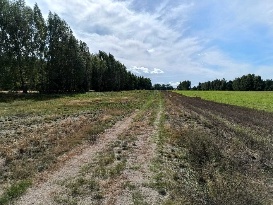 Działki budowlane w Tuszynie