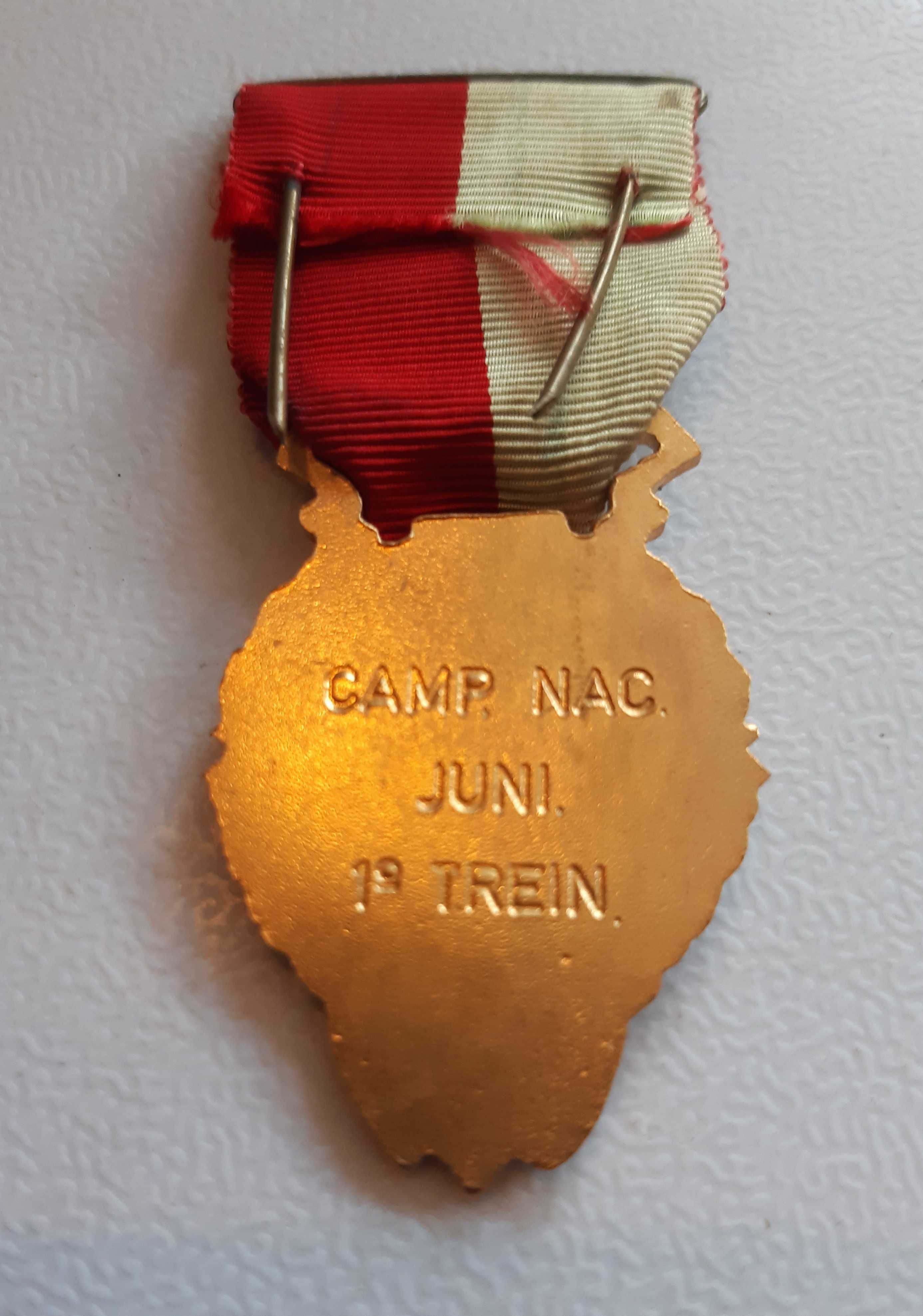 Medalha Antiga 1976