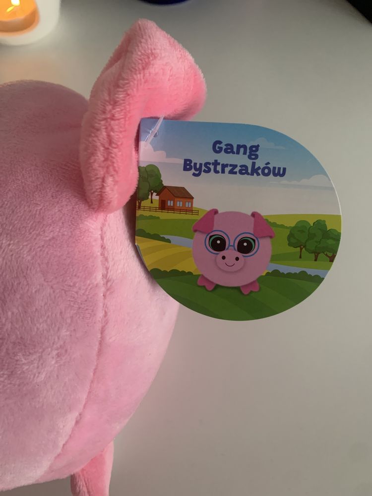 pluszak świnia gang bystrzaków