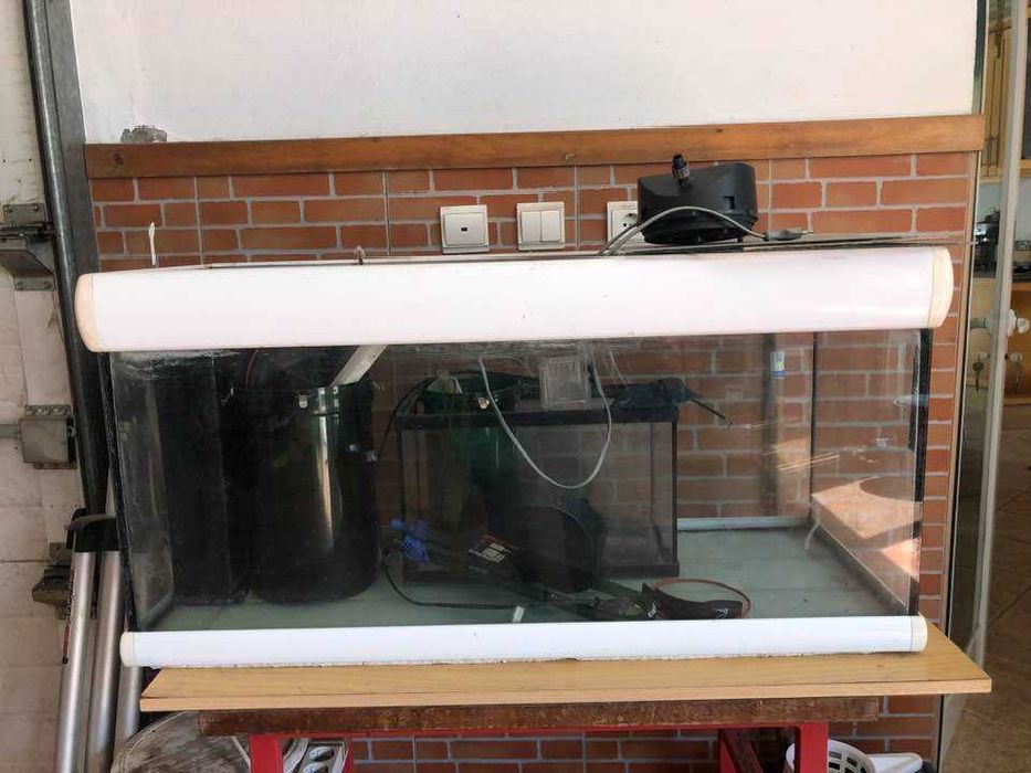 Aquário e todo o material do hobby (mais ofertas)
