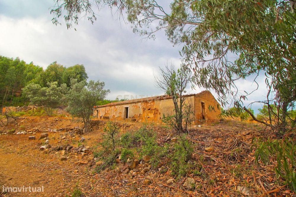 Ruína  T4 de 140 m2, inserida num terreno urbano amplo de 6732 m2, loc