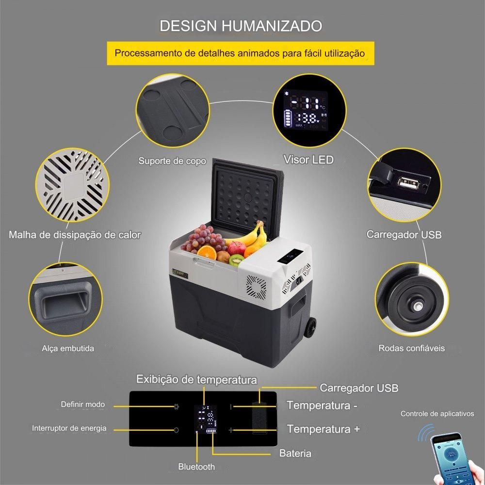 Caixa de Refrigerador 30L Mini