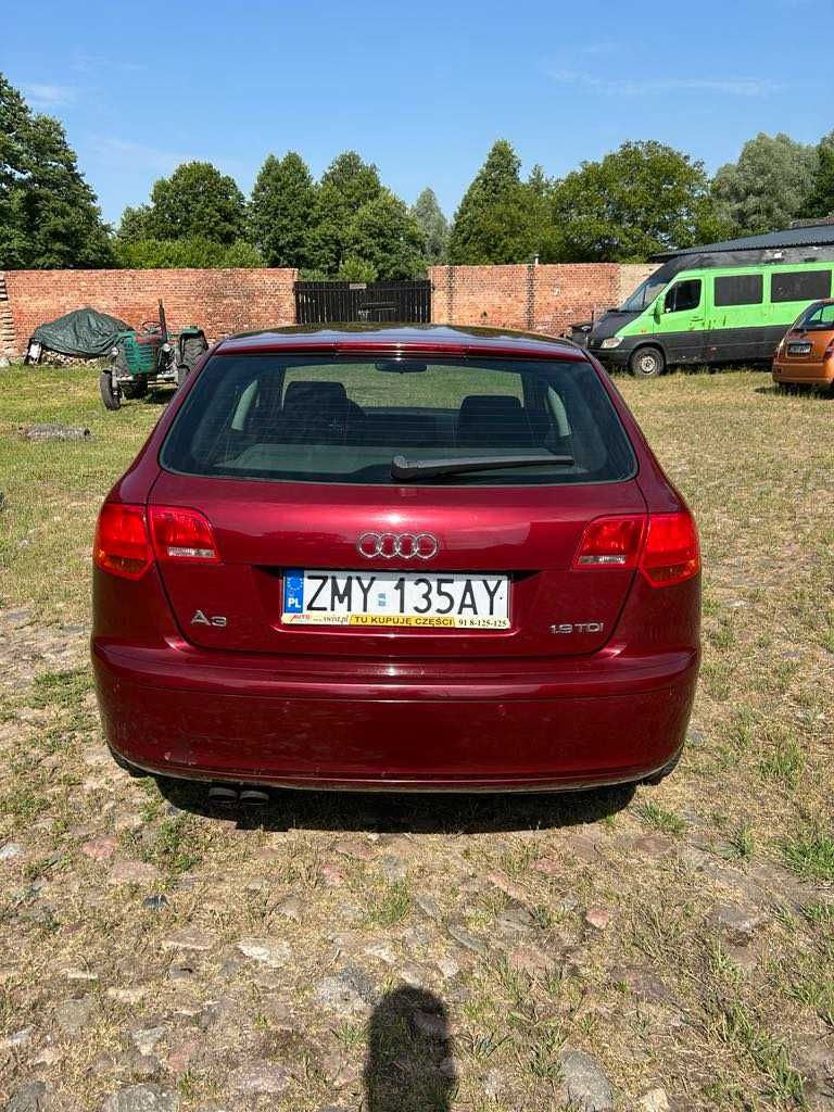 Audi A3 8p 1.9 TDI 2005r
