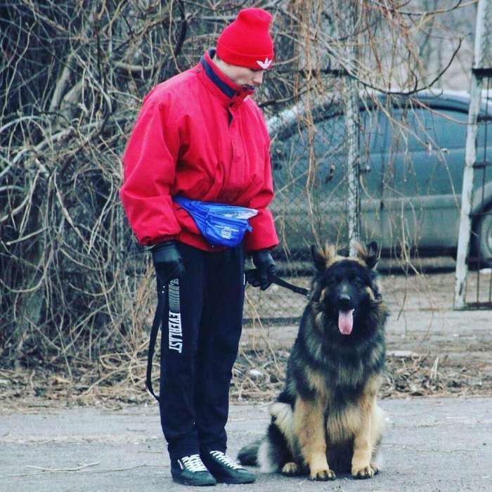 ШОС "Арес-Абрай" (Дресирування собак, без вікових та породних обмежень