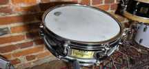 werbel Mapex Deep Forest 13"x3,5" walnut