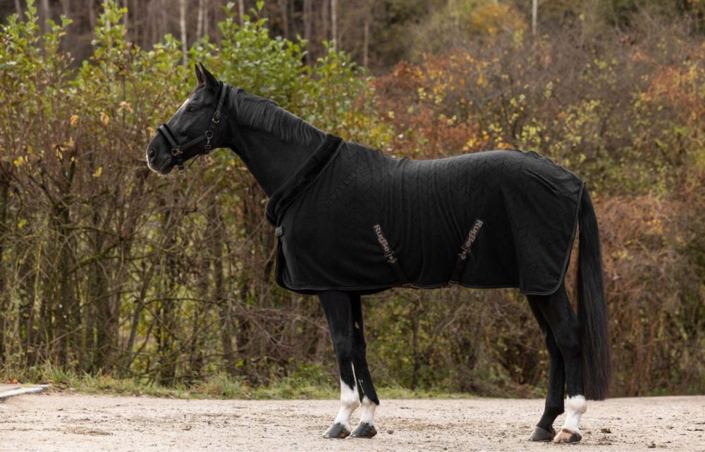 Derka Covalliero + nauszniki Eskadron