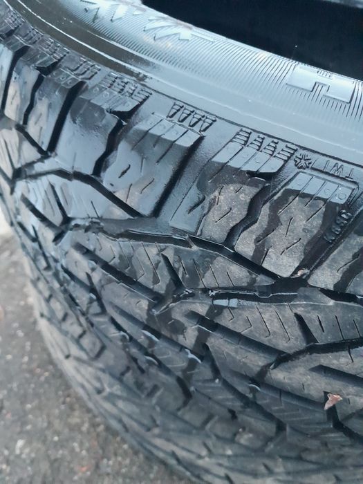 Kormoran 2sztuki. zimowe