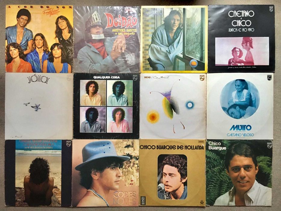 Discos de vinil LP álbuns - música brasileira