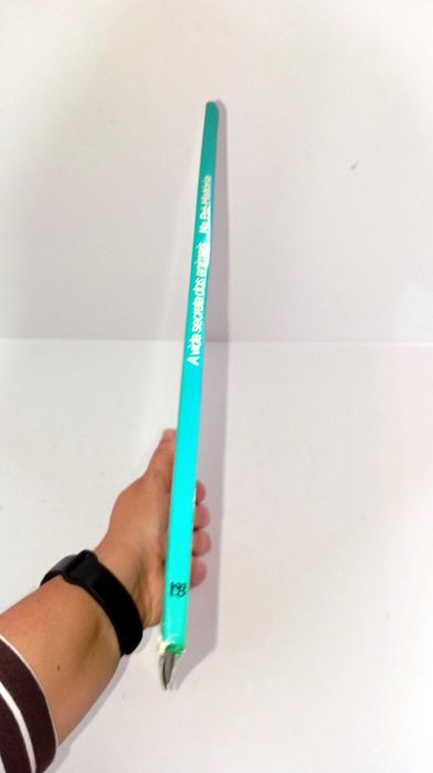 A Vida Secreta dos Animais na Pré- História