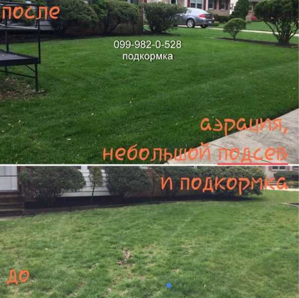 Газонная трава+Удобрения весенние для газона комплексні добрива газо