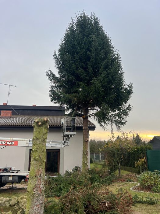 Wycinka drzew odśnieżanie pielęgnacja ogrodów