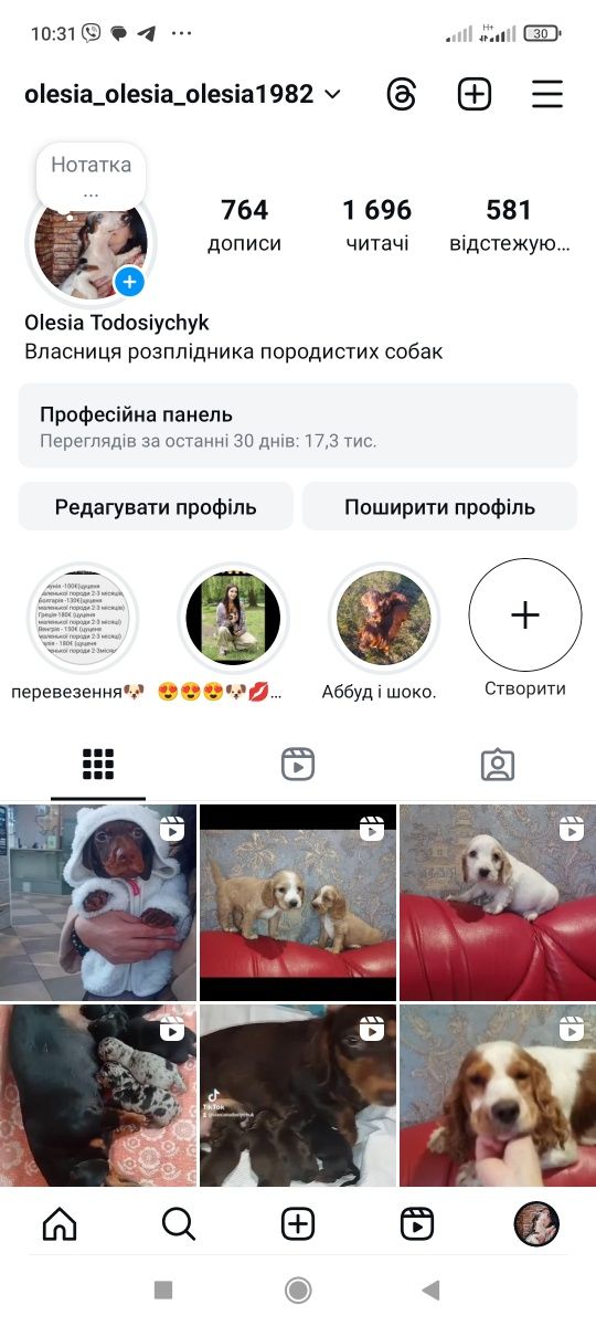Бронювання та продаж таксят різних окрасів