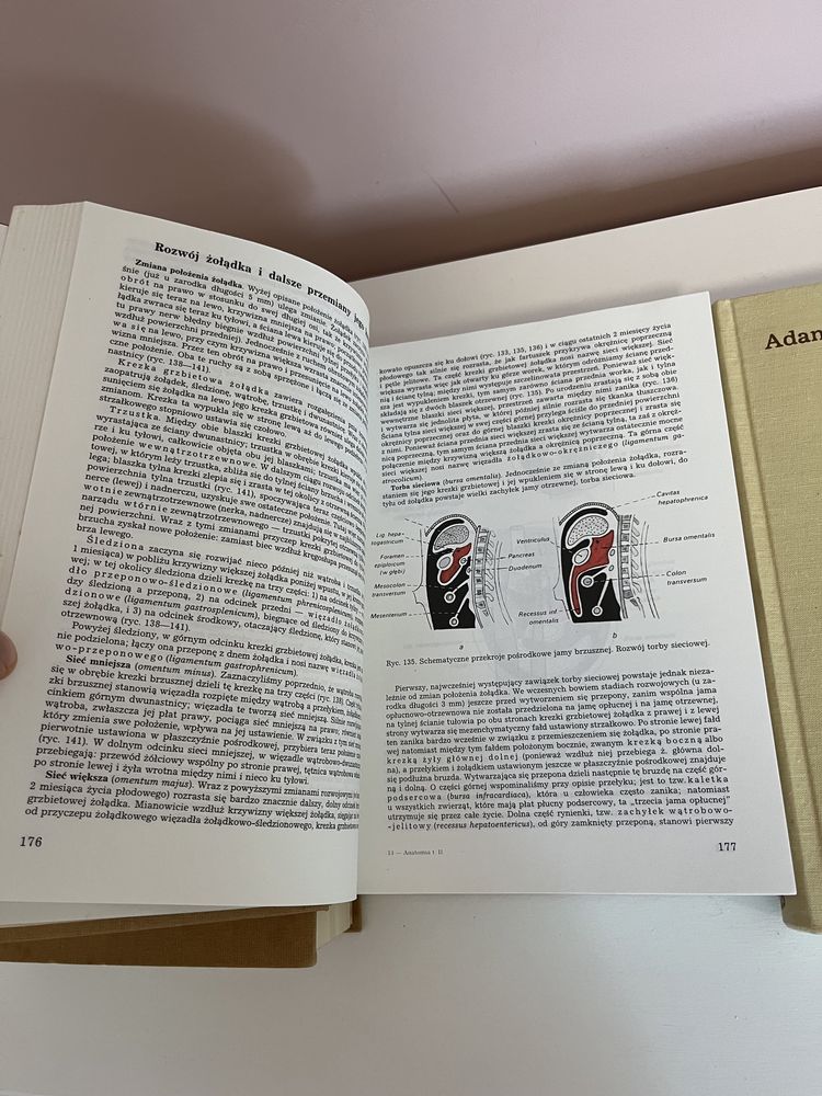 Ksiazka anatomia czlowieka tom 1 2 3 4 Adam Bochenek, Michał Reicher