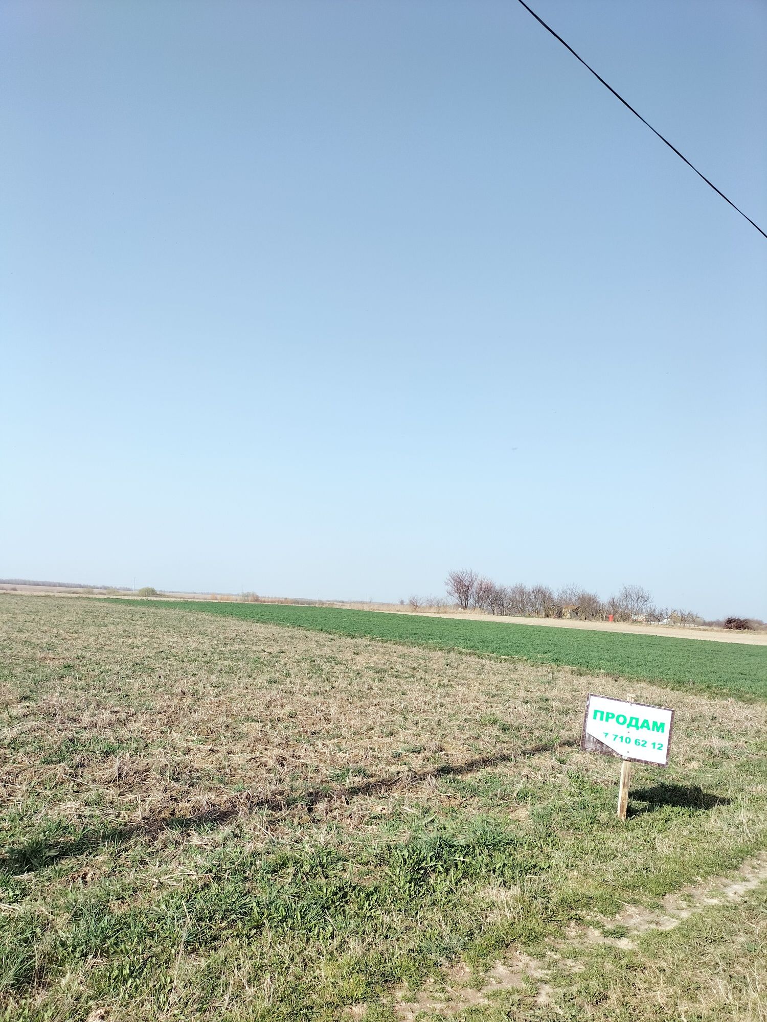 Продаж земельної ділянки 20 соток