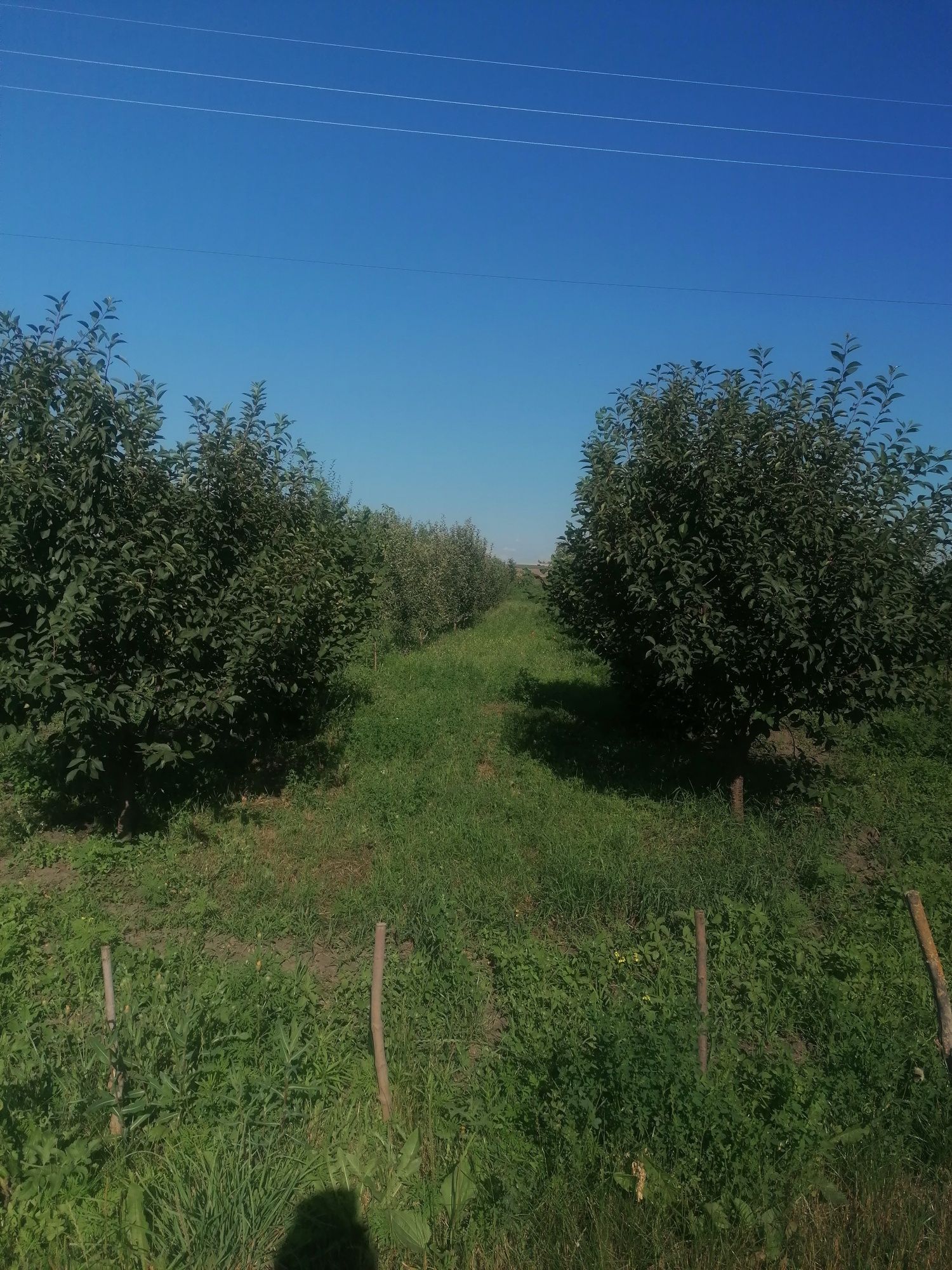 Продам земельну ділянку