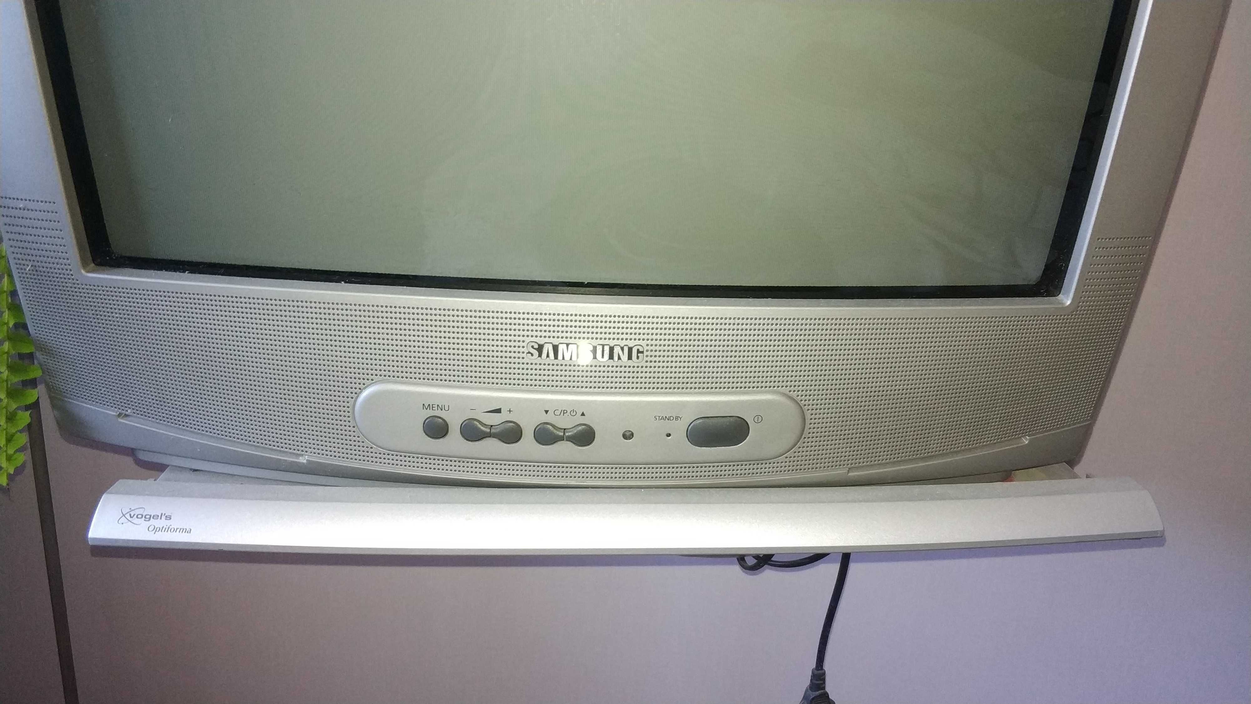 Телевизор Samsung CS-21F5R