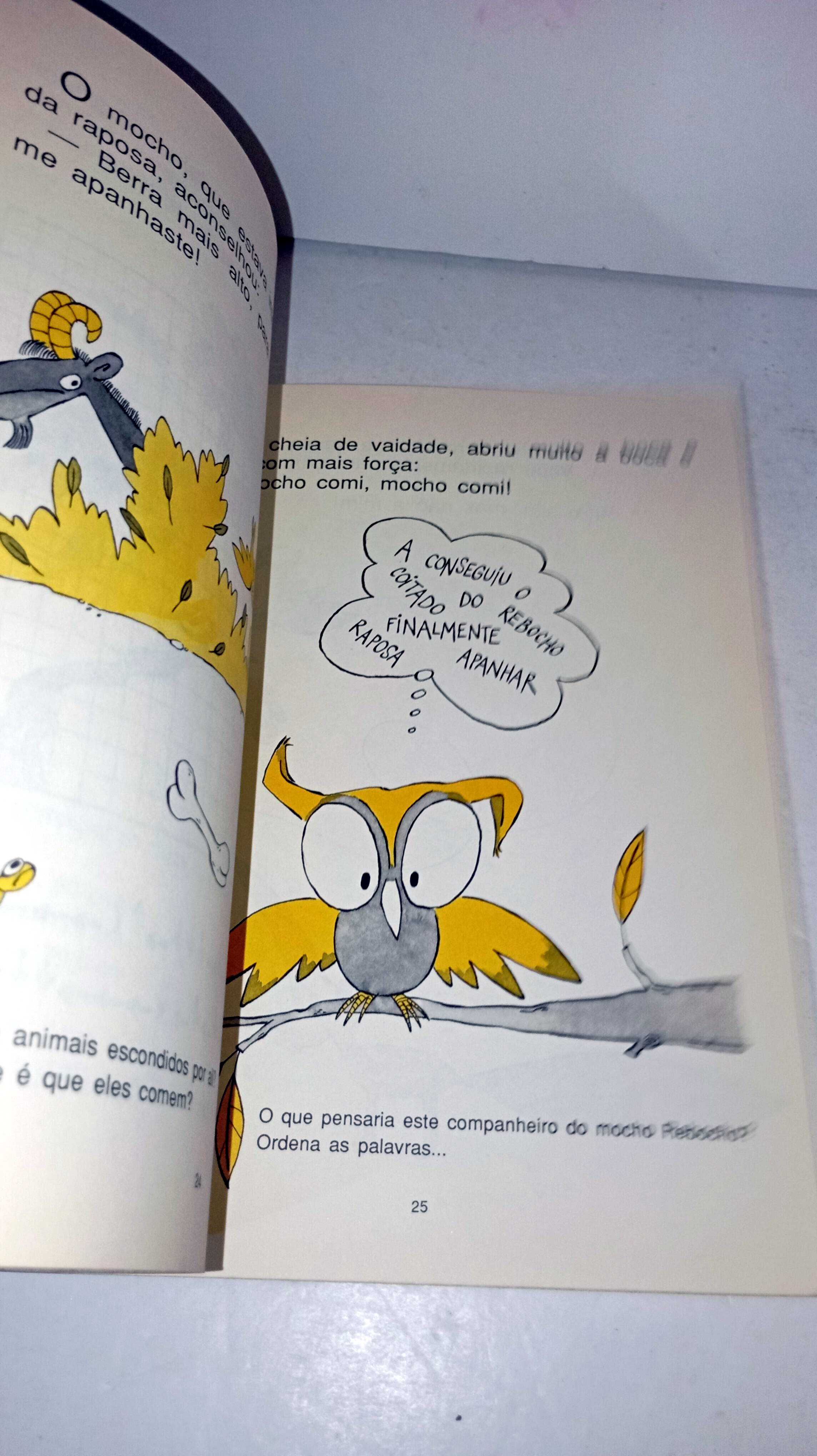 O Mocho e a Raposa