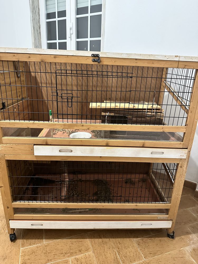 Gaiola para coelho
