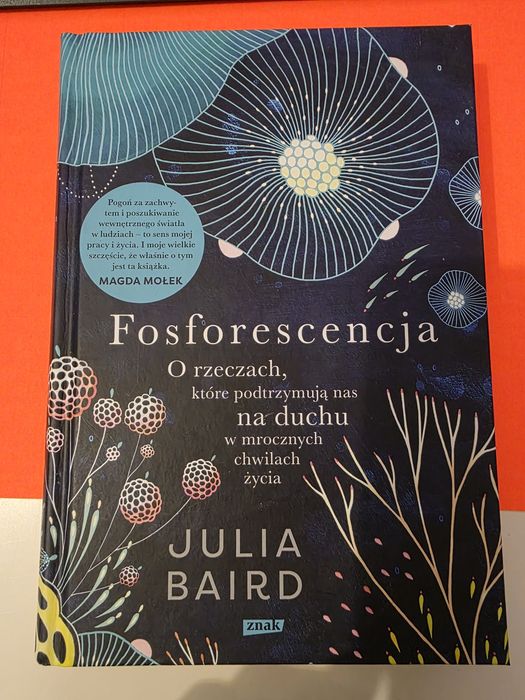 Julia Baird - Fosforescencja.