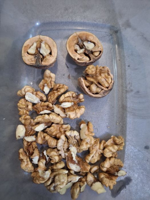 Грецький горіх врожай 2025 р