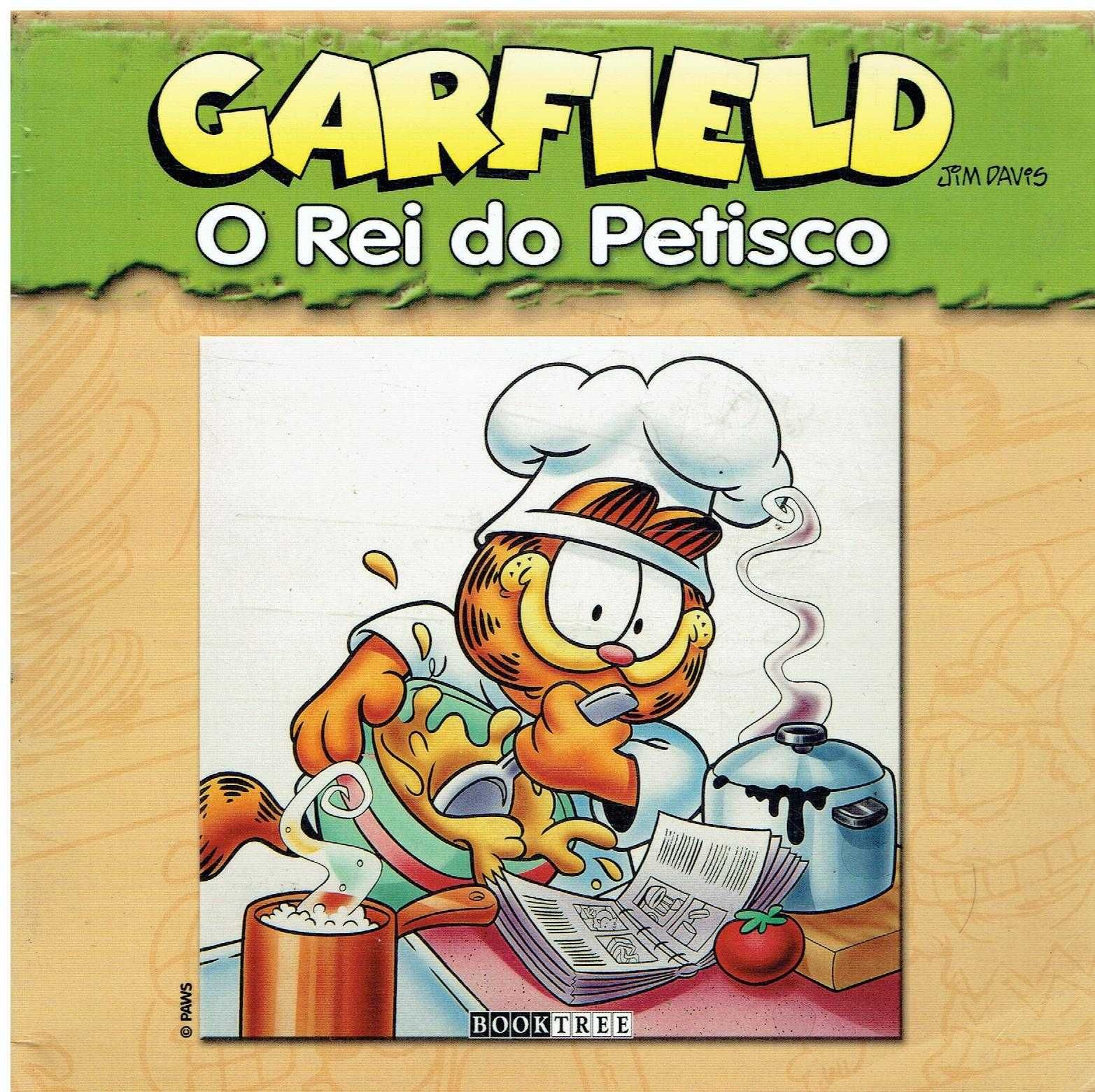 5373 - Banda Desenhada - Livros de Garfield ( Jim Davis )