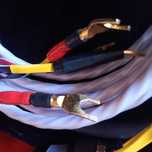 Дешево!Wireworld speakers cable в асортименті