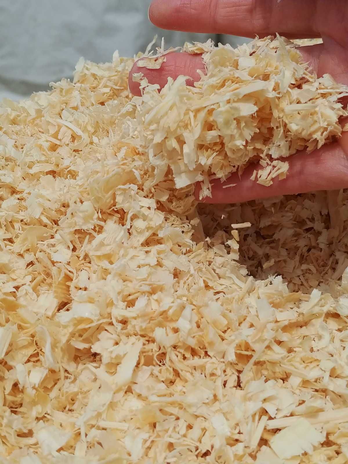 Ściółka dla koni, psów, trociny odpylone 15szt x 20kg cena z dostawą