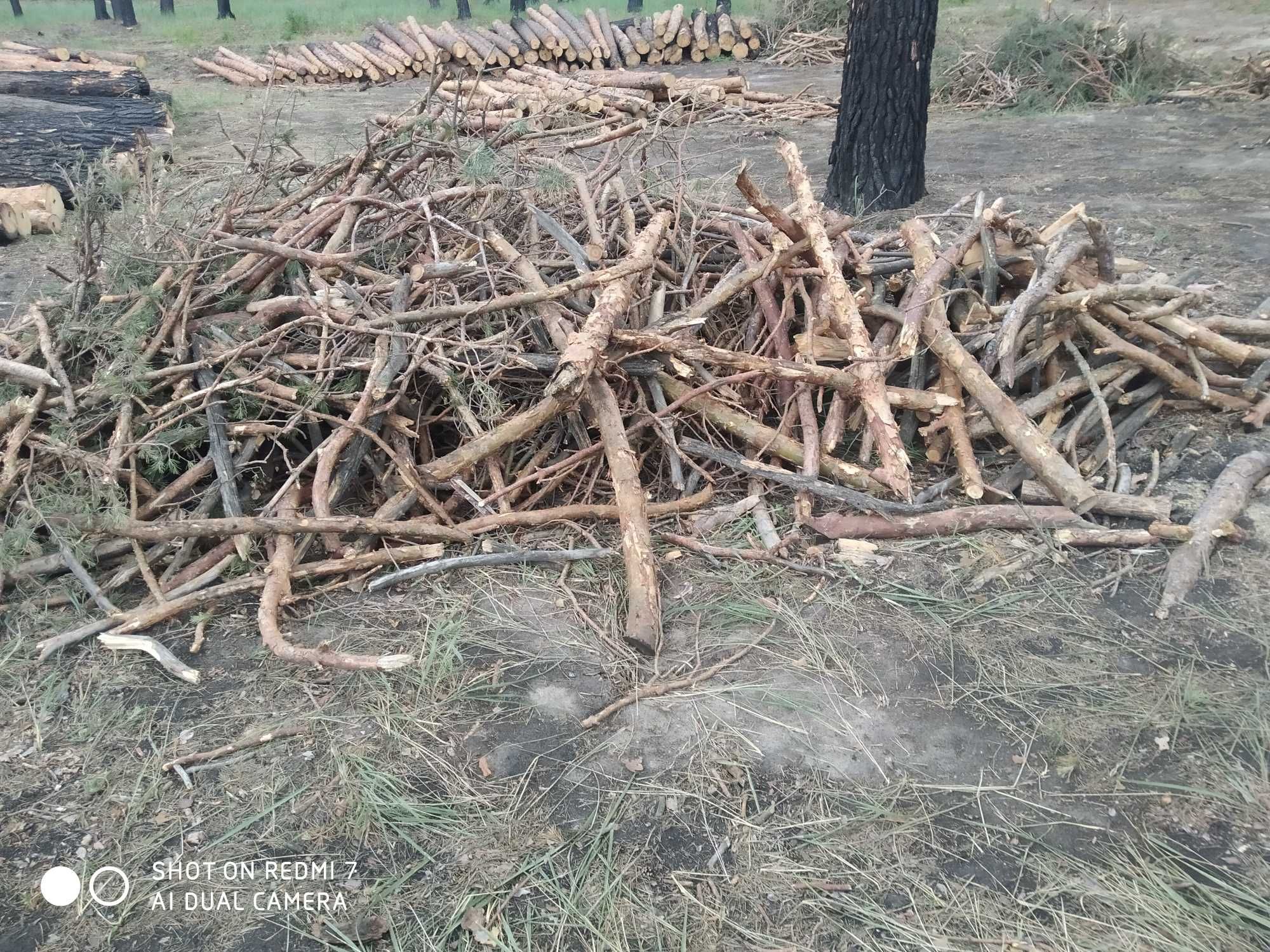 Ветки и хмыс дрова