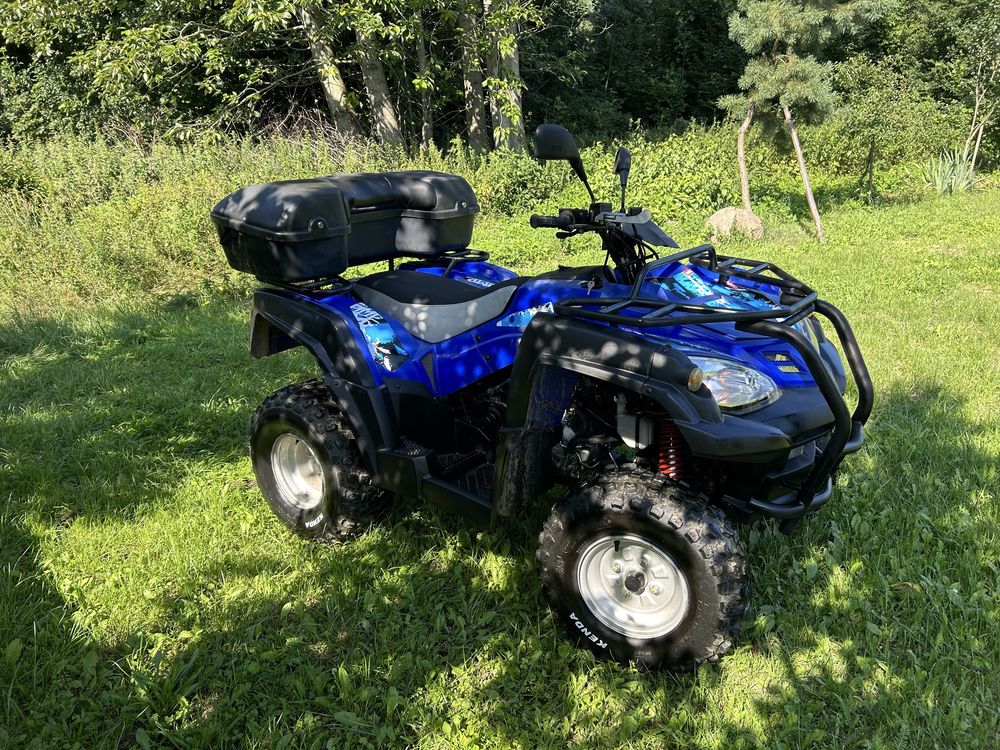 Quad Adly 280/ 300 L7e